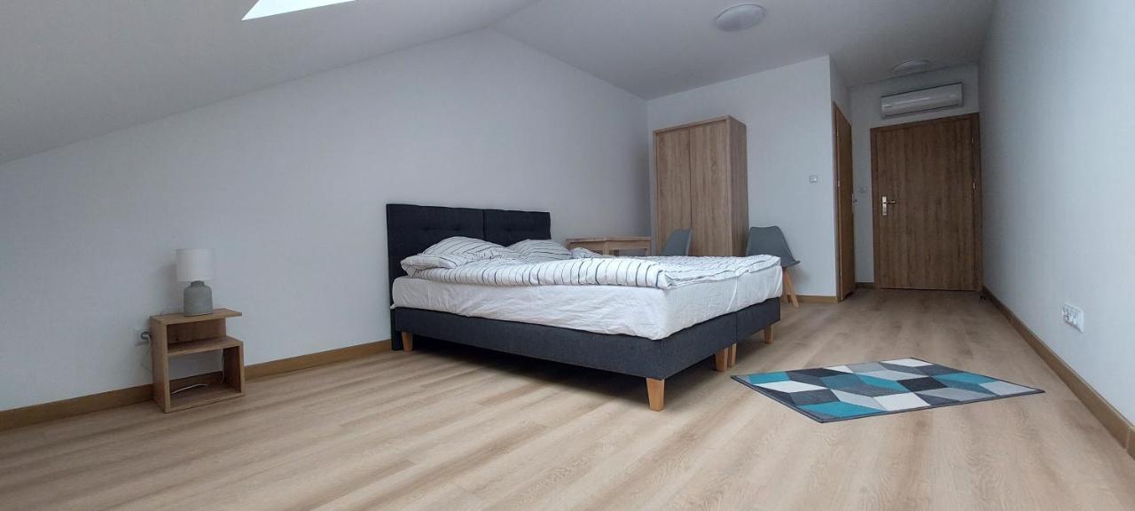 Kahden hengen huone - Twin/Double